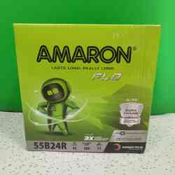 Aki Mobil Flo 55B24R 45 AH Car ACCU Amaron