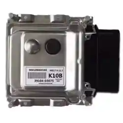 ECM/PCM/ECU